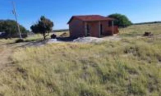 Imóvel 2356034 [''] - ['Sítio Baixa da Canafístula, Fazenda Urubu, saindo de Afrânio, na BR-407, sentido Petrolina'] [''] - ['Afrânio']/['PE'] - 1
