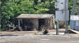 Imóvel 2535834 [''] - ['Rodovia BR-364 KM 1,4, à direita, Bloco A, Zona Rural'] [''] - ['São Simão']/['GO'] - 1