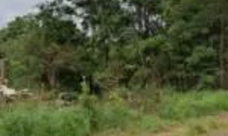 Imóvel 2324135 [''] - [''] [''] - ['outras']/['na'] - 1