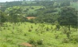 Imóvel 2834535 [''] - ['estrada de terra Elói Mendes - Cordislândia, Km 19, ao lado Fazenda Primavera'] [''] - ['Elói Mendes']/['MG'] - 1