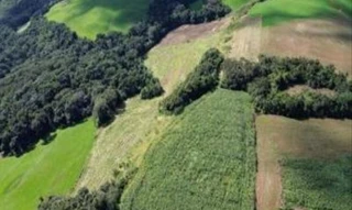 Imóvel 2518135 [''] - ['lote 33 , GLEBA 16, COLÔNIA MUQUILÃO, Município de MATO RICO/PR'] [''] - ['Mato Rico']/['PR'] - 1