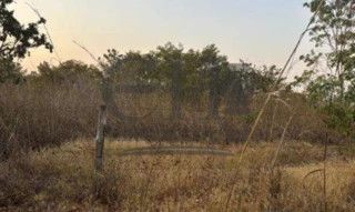 Imóvel 2765235 [''] - ['rodovia MT 010, Km 32, + 20 Km à esquerda'] [''] - ['Diamantino']/['MT'] - 1