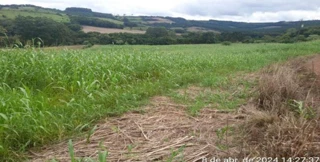 Imóvel 2451435 [''] - ['Parte do lote rural n°03, gleba VIII, da Fazenda Primavera, Linha samambaia, interior de Saltinho'] [''] - ['Saltinho']/['SC'] - 1