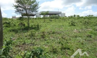 Imóvel 2427535 [''] - ['Local denominado Sítio Maranhão, - Parque Jardim Aeroporto Campos dos Goytacazes - RJ'] ['Novo Jockey'] - ['Campos Dos Goytacazes']/['RJ'] - 1