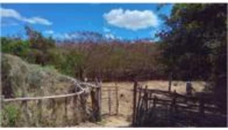 Imóvel 2516035 [''] - ['Fazenda Serrote Branco'] [''] - ['Santa Quitéria']/['CE'] - 1