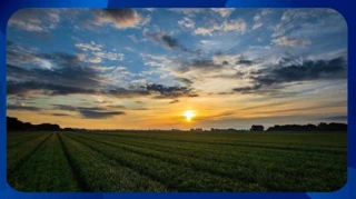 Imóvel 2459036 [''] - ['R. Cel. Ovídio Réis, 128 - Ap 103 - Edificio Vista Alegre'] [''] - ['Mato Verde']/['MG'] - 1