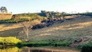 Imóvel 2397236 [''] - ['Machado , Fazenda Dourado'] [''] - ['Machado']/['MG'] - 1