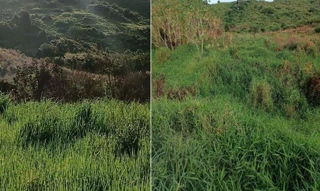 Imóvel 2677536 [''] - ['Alagoa Dantas'] [''] - ['Bananeiras']/['PB'] - 1