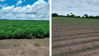 Imóvel 2745836 [''] - ['Chapadinha, MA'] [''] - ['Chapadinha']/['MA'] - 1