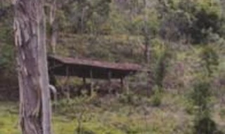 Imóvel 2504837 [''] - ['Sítio Pilar'] [''] - ['Cunha']/['SP'] - 1