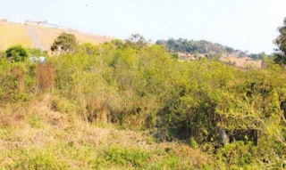 Imóvel 2773837 [''] - ['Sítio Cachoeira (BR 491), S/N, Zona Rural, Monte Belo , MG, CEP: 37115-000'] [''] - ['Monte Belo']/['MG'] - 1