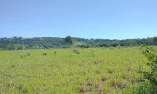 Imóvel 2879037 [''] - ['Sítio Água Doce, Zona Rural - São Simão/SP'] [''] - ['São Simão']/['SP'] - 1