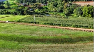 Imóvel 2540537 [''] - ['Lote Rural nº 11, Gleba nº 96-FB, Núcleo Francisco Beltrão, Colônia Missões'] [''] - ['Nova Prata Do Iguaçu']/['PR'] - 1