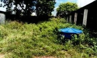 Imóvel 2764037 [''] - ['Povoado Ponto Chique'] [''] - ['Carira']/['SE'] - 1