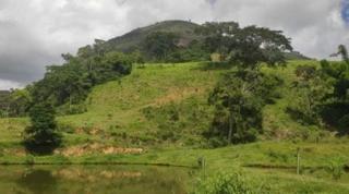 Imóvel 2517638 [''] - ['Fazenda Palmeiras, São Sebastião, S/N'] [''] - ['Duas Barras']/['RJ'] - 1