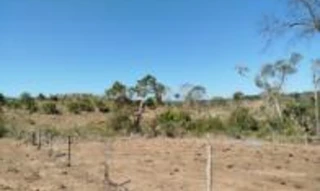 Imóvel 2535538 [''] - ['Linha/Kapa 96 - conhecida como Estrada Asa Branca'] [''] - ['Pimenta Bueno']/['RO'] - 1