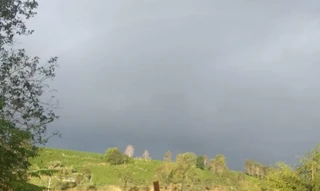 Imóvel 2590138 [''] - ['Fazenda Mumbuca'] [''] - ['Conde']/['BA'] - 1