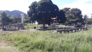 Imóvel 2331838 [''] - ['Fazenda São João, lugar denominado TARUMÃ'] [''] - ['Pontalina']/['GO'] - 1