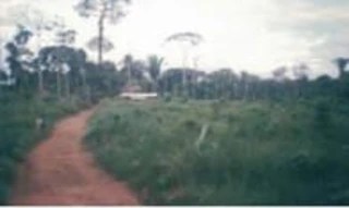 Imóvel 2758138 [''] - ['Fazenda Água Funda c/ 2.462 ha, Lote Mogno, Gleba II ou Pau Brasil'] [''] - ['Colniza']/['MT'] - 1