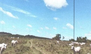 Imóvel 2663138 [''] - ['Fazenda Gramado, Juína'] [''] - ['Juína']/['MT'] - 1