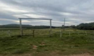 Imóvel 2773838 [''] - ['Sem denominação, S/N, Chácara das Figueiras, Zona Rural, Rosário do Sul, RS, CEP: 97590-000'] [''] - ['Rosário do Sul']/['RS'] - 1