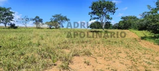 Imóvel 2452238 [''] - ['Fazenda São Braz e Almas, Lagamar - MG'] [''] - ['Lagamar']/['MG'] - 1
