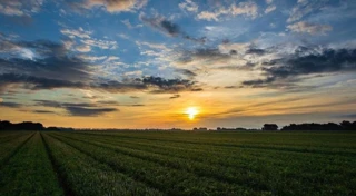 Imóvel 2459038 [''] - ['ZONA RURAL'] [''] - ['Campanha']/['MG'] - 1