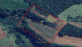 Imóvel 2684839 [''] - ['Segunda Secção Anta Gorda - Interior'] [''] - ['Pinhalzinho']/['SC'] - 1