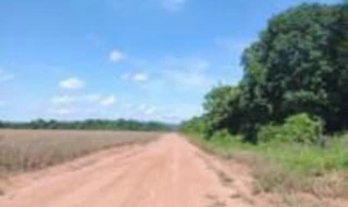 Imóvel 2447539 [''] - ['Fazenda Toca da Onça, Projeto de Colonização Mutum 1ª Etapa'] [''] - ['Nova Mutum']/['MT'] - 1