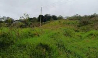 Imóvel 2431639 [''] - ['Linha Rio Engano, Interior de Itá/SC/'] [''] - ['Itá']/['SC'] - 1