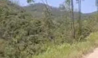 Imóvel 2393939 [''] - ['RIO TEÓFILO, LOCALIZADO A 2,5KM DA ENTRADA DA RUA GERAL'] [''] - ['Major Gercino']/['SC'] - 1