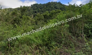 Imóvel 2183640 [''] - ['Terreno Rural Situado fundos Ribeirão Carneiro, s/n'] [''] - ['Rio Do Campo']/['SC'] - 1