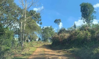 Imóvel 2742140 [''] - ['Serra Chata do Timbó'] [''] - ['Timbó Grande']/['SC'] - 1