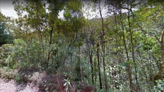 Imóvel 2562441 [''] - ['R. Virginia Ribeiro, Posse dos Heckerts - Mury'] ['Mury'] - ['Nova Friburgo']/['RJ'] - 1