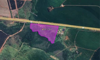 Imóvel 2608541 [''] - ['A Margem Esquerda Br 060, 0, Fazenda São Tomaz - Abóboras, Inexistente, Carmo do Rio Verde - GO'] [''] - ['Carmo Do Rio Verde']/['GO'] - 1