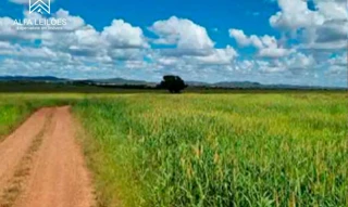 Imóvel 2745341 [''] - ['Fazenda Volta do Matrinxã'] [''] - ['Paranatinga']/['MT'] - 1