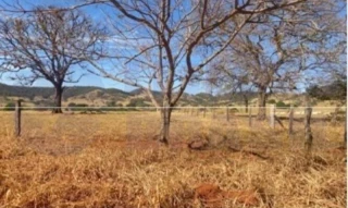 Imóvel 2539641 [''] - [''] [''] - ['Taquaral De Goiás']/['GO'] - 1