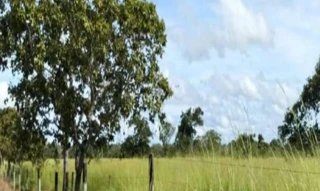 Imóvel 2882241 [''] - ['Fazenda Estância Recanto Mineiro, 05, Folha B, Loteamento Três Barreiras 2ª Etapa, Araguaçu, TO, CEP: 77475-000'] [''] - ['Araguaçu']/['TO'] - 1