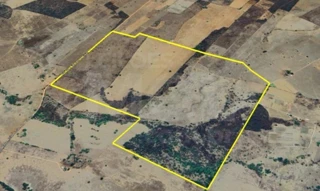 Imóvel 2688141 [''] - ['"Floresta", Fazenda Barra, - Zona Rural Mato Verde - MG'] [''] - ['Mato Verde']/['MG'] - 1