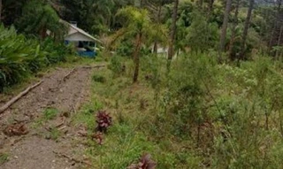 Imóvel 2396641 [''] - ['AVENIDA DAS ARAUCÁRIAS-LADEIRA'] [''] - ['São João Do Triunfo']/['PR'] - 1