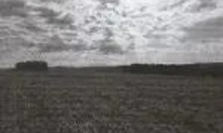 Imóvel 2388941 [''] - ['Área Rural de 7 ha, em condomínio com área maior de 26 ha, lote rural nº 61, da 5ª secção Santo Cristo, localizada em Santa Rosa'] ['Central'] - ['Santa Rosa']/['RS'] - 1