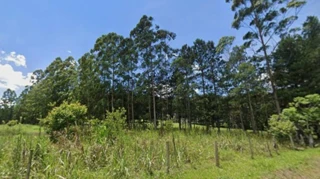 Imóvel 2872941 [''] - ['Rio Do Campo,'] [''] - ['Rio Do Campo']/['SC'] - 1