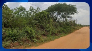 Imóvel 2634342 [''] - ['ZONA RURAL de ÁGUA PRETA'] [''] - ['Água Preta']/['PE'] - 1