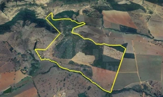 Imóvel 2688142 [''] - ['Fazenda Angola, - Zona rural Pompéu - MG'] [''] - ['Pompéu']/['MG'] - 1