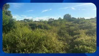 Imóvel 2536742 [''] - [', sn - O CEP PODE NÃO CORRESPONDER A LOCALIZAÇÃO EXATA DO BEM - Centro'] ['Centro'] - ['Governador Valadares']/['MG'] - 1