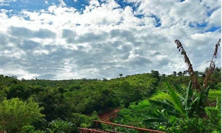 Imóvel 2736642 [''] - ['Barreiro/Barbada de Baixo, Senador Modestino Gonçalves'] [''] - ['Senador Modestino Gonçalves']/['MG'] - 1