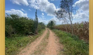 Imóvel 2392942 [''] - [''] [''] - ['Gararu']/['SE'] - 1