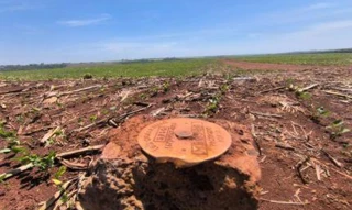 Imóvel 2507442 [''] - ['Rodovia MS-380, conhecida como estrada da Usina Velha São João, entrada à esquerda da via por mais 04 km, adentrando-se a propriedade rural Fazenda São Máximo'] [''] - ['Ponta Porã']/['MS'] - 1