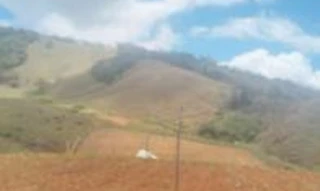 Imóvel 2607142 [''] - ['Sítio c/ 24,20 hectares, denominado São Mateus - Seerra, áreas de pastagem'] [''] - ['Ipanema']/['MG'] - 1