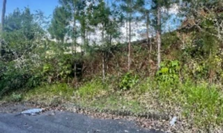 Imóvel 2690443 [''] - ['Abrão Bernardino Rocha, S/N - Lote N° 10 Condomínio Horizontal Familia Scaburri - Fazenda - Itajaí / SC'] ['Fazenda'] - ['Itajaí']/['SC'] - 1